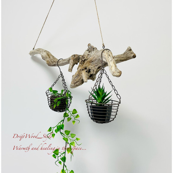 流木インテリア 木の根とコブが美しい天然流木のハンガーラック 北欧 衣装掛け ハンギング 吊り下げ エアプラント 癒し 8枚目の画像