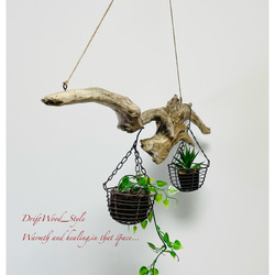 流木インテリア 木の根とコブが美しい天然流木のハンガーラック 北欧 衣装掛け ハンギング 吊り下げ エアプラント 癒し 7枚目の画像