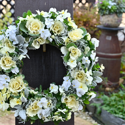 6e68d347a1269fb9f8588d209b897b