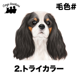 【 キャバリア 水彩画風 毛色4色 】 キャニスター　お家用　プレゼント　犬　ペット　うちの子　犬グッズ 3枚目の画像