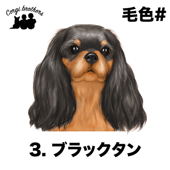 【 キャバリア 水彩画風 毛色4色 】 キャニスター　お家用　プレゼント　犬　ペット　うちの子　犬グッズ 4枚目の画像