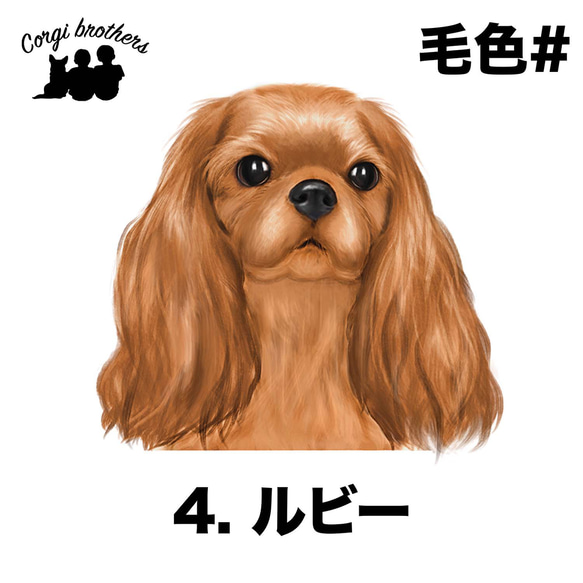 【 キャバリア 水彩画風 毛色4色 】 キャニスター　お家用　プレゼント　犬　ペット　うちの子　犬グッズ 5枚目の画像