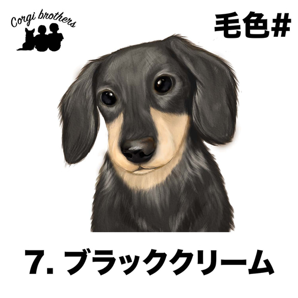 【 ダックスフンド 水彩画風 毛色7色 】 キャニスター　お家用　プレゼント　犬　ペット　うちの子　犬グッズ 8枚目の画像