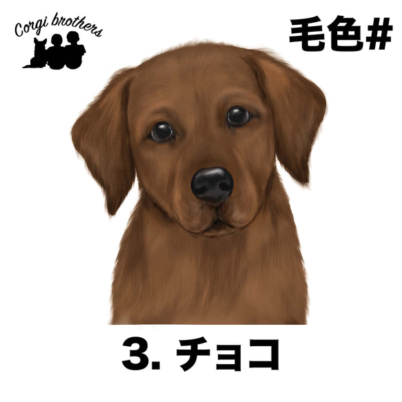 【 ラブラドールレトリバー 水彩画風 毛色4色 】 キャニスター　お家用　プレゼント　犬　ペット　うちの子　犬グッズ 5枚目の画像