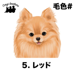 【 ポメラニアン 水彩画風 毛色6色 】 キャニスター　お家用　プレゼント　犬　ペット　うちの子　犬グッズ 6枚目の画像