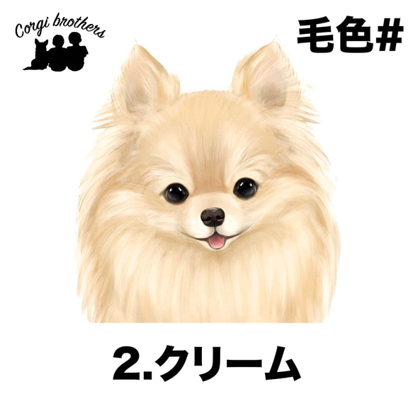 【 ポメラニアン 水彩画風 毛色6色 】 キャニスター　お家用　プレゼント　犬　ペット　うちの子　犬グッズ 3枚目の画像