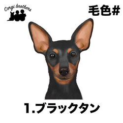 【 ミニチュアピンシャー 水彩画風 毛色4色 】 キャニスター　お家用　プレゼント　犬　ペット　うちの子　犬グッズ 2枚目の画像