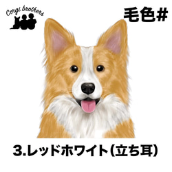 【 ボーダーコリー 水彩画風 毛色4色 】 キャニスター　お家用　プレゼント　犬　ペット　うちの子　犬グッズ 4枚目の画像