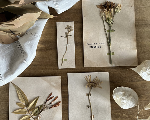 8eb1e4864e8eb125224db7fbfe7247