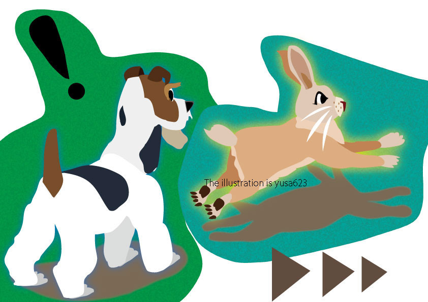 うさぎDEぴょん！② 相対性？