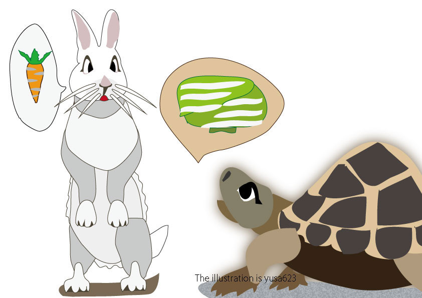 うさぎDEぴょん！⑧ そっちかよ！