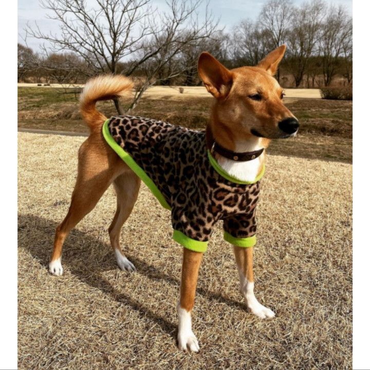 .サイズ確認用 犬服.ラグラントレーナー