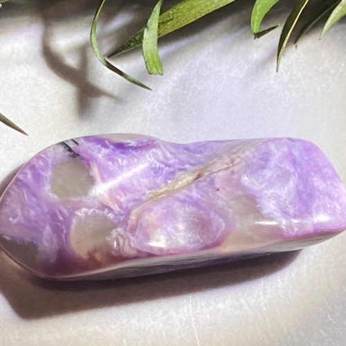 世界三大ヒーリングストーン】チャロアライト タンブル 瞑想