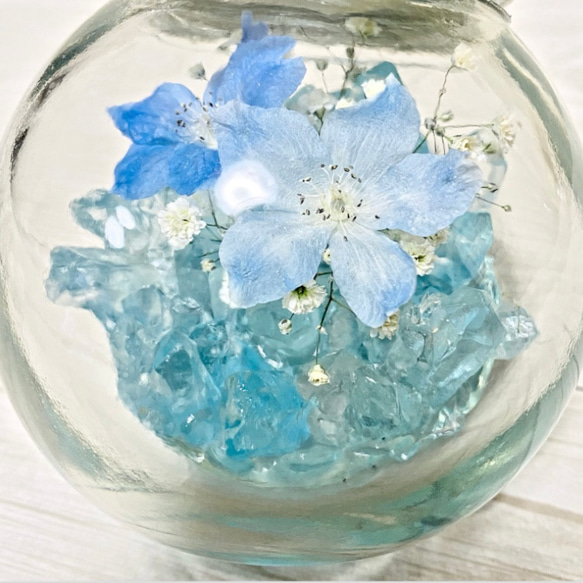 【本物のデルフィニウム】Crystal and Delphinium 9枚目の画像