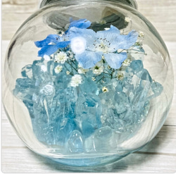 【本物のデルフィニウム】Crystal and Delphinium 10枚目の画像