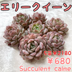 b9d1f592fd8444f0e7dcf54009da16