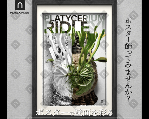 2349aab86415797fab956a2be992e1