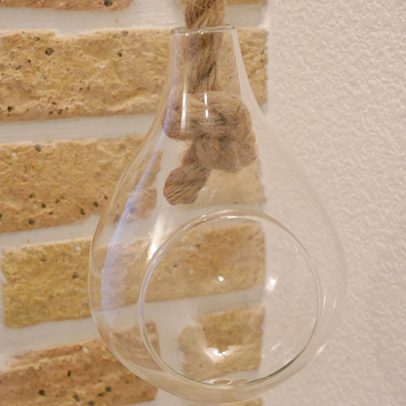 ハンギング テラリュウム ウォールインテリア 吊るしガラス エアープランツ付き インテリア雑貨 8枚目の画像