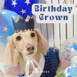 ミニ バースデークラウン デニム 星 犬 猫 うさぎ ペット 王冠 誕生日 あご紐 名入れ 1枚目の画像