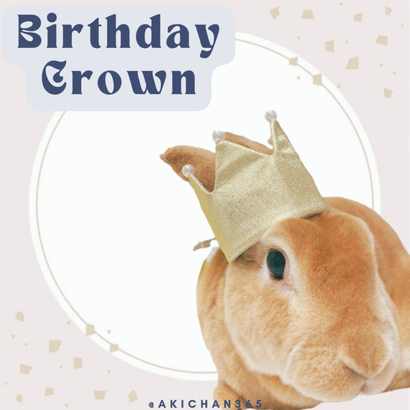 ミニ バースデークラウン s×wg パール ペット うさぎ 犬 猫 誕生日 1歳 王冠 クラウン あご紐 1枚目の画像