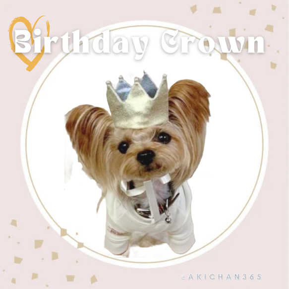 ミニ バースデークラウン s×wg メs 100日、1歳、名入れ、王冠、誕生日、ハーフバースデー、犬、猫、うさぎ 1枚目の画像