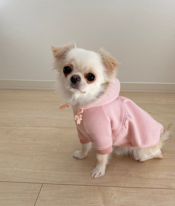 犬服　パーカー　／　バルーンパーカー　【ピンク】【限定色】　 6枚目の画像