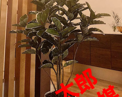 光触媒 人工観葉植物 ウォールグリーン フェイク フラワー アルテシマ