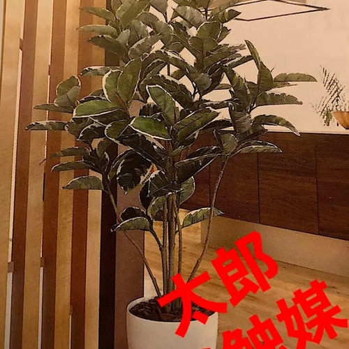 光触媒　人工観葉植物　ウォールグリーン　フェイク　フラワー　アルテシマ16 光触媒 人工観葉植物 ウォールグリーン フェイク フラワー