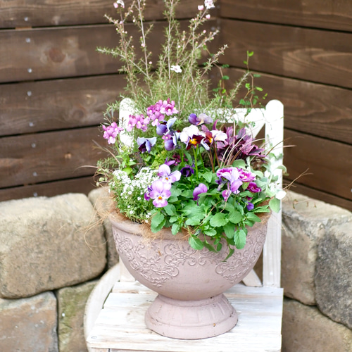 季節のお花寄せ植え  グラスファイバー 季節のお花寄せ植え グラスファイバー 【公式通販】