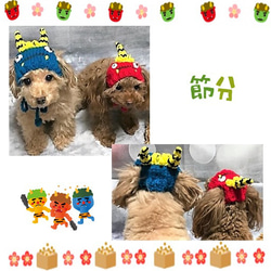 節分 赤鬼さんの帽子　小型犬 猫ちゃん用　送料無料　sba01 4枚目の画像