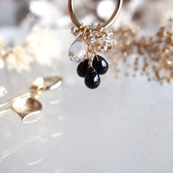 Ear cuff＊précieuses noires＊4way  ヨーロッパ製ファルファーレのイヤーカフ 2枚目の画像