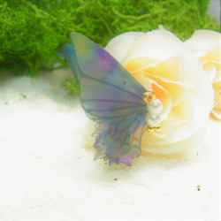 シフォン 蝶 パール加工チャーム　２０２３A 5枚目の画像