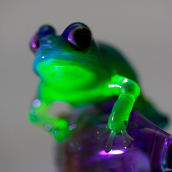 BL-Frog（カエル）ファナネックレス442 9枚目の画像