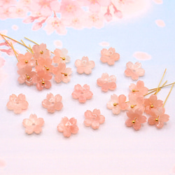 オリジナル変色素材★桜のパーツ　アセテート　アプリコット→ローズピンク 5枚目の画像