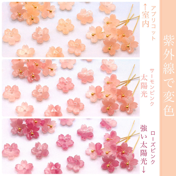 オリジナル変色素材★桜のパーツ　アセテート　アプリコット→ローズピンク 1枚目の画像