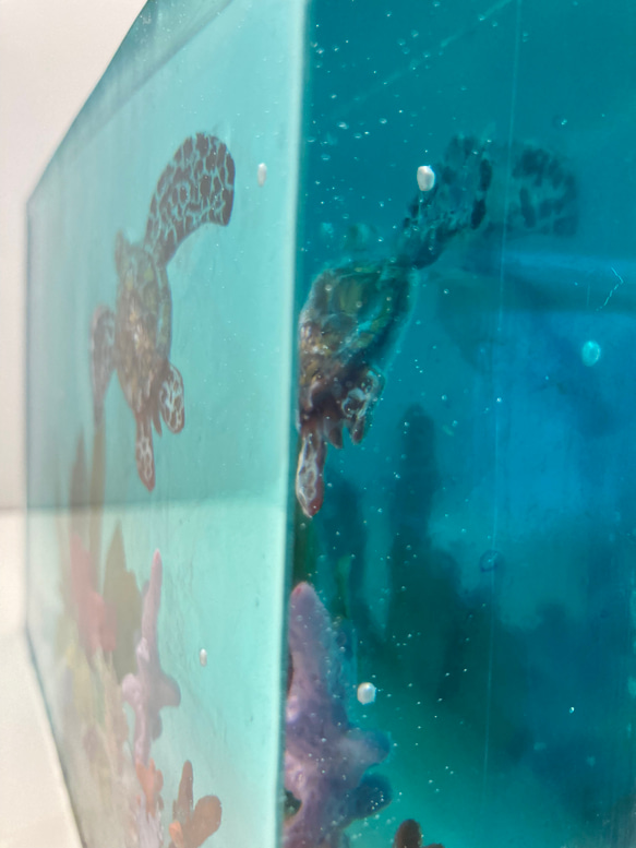 〜エメラルドの海底を飛ぶウミガメ〜 3枚目の画像