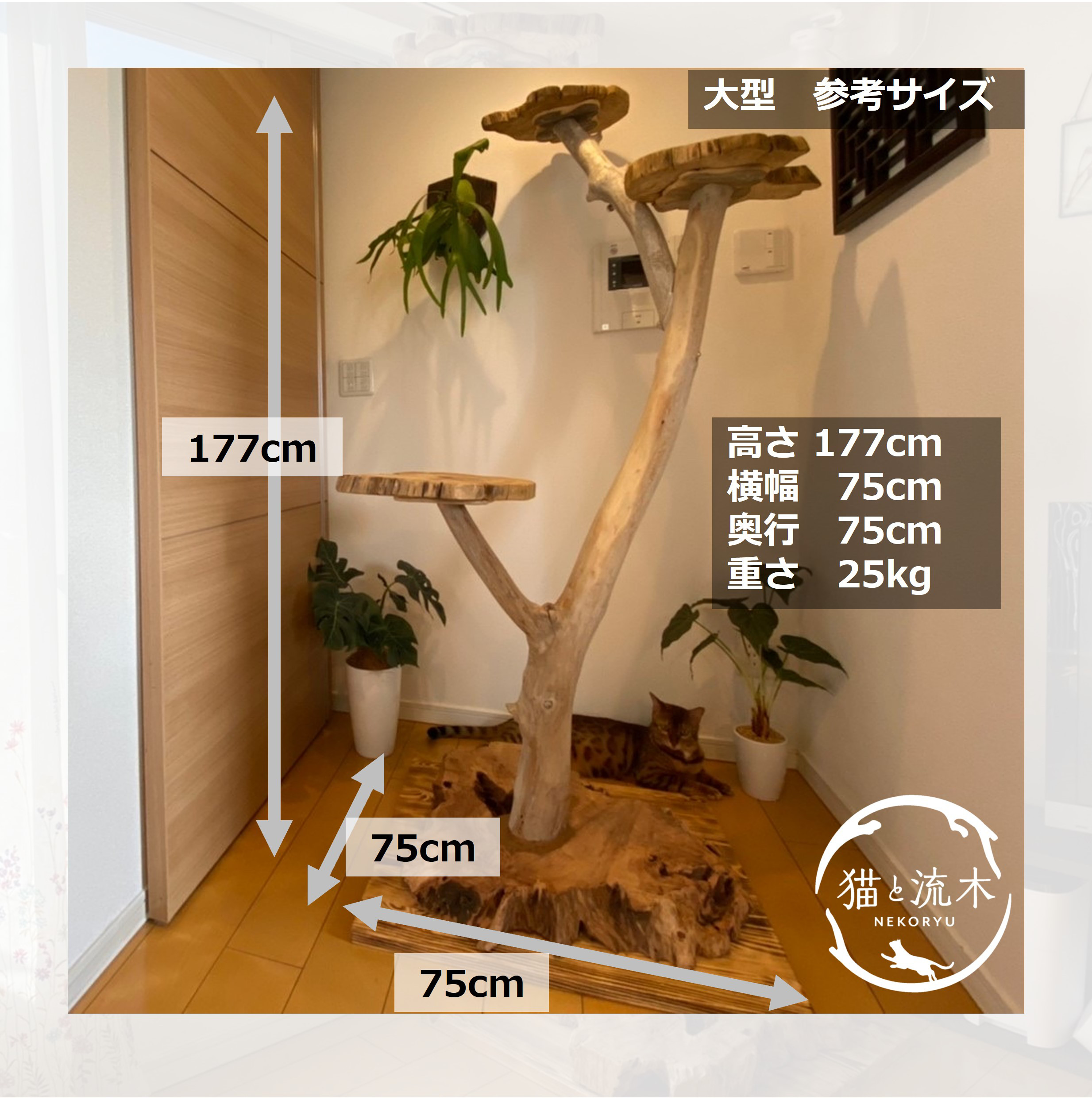 【猫と流木ねこりゅう】完全オーダーメイド　流木キャットタワー大型タイプ