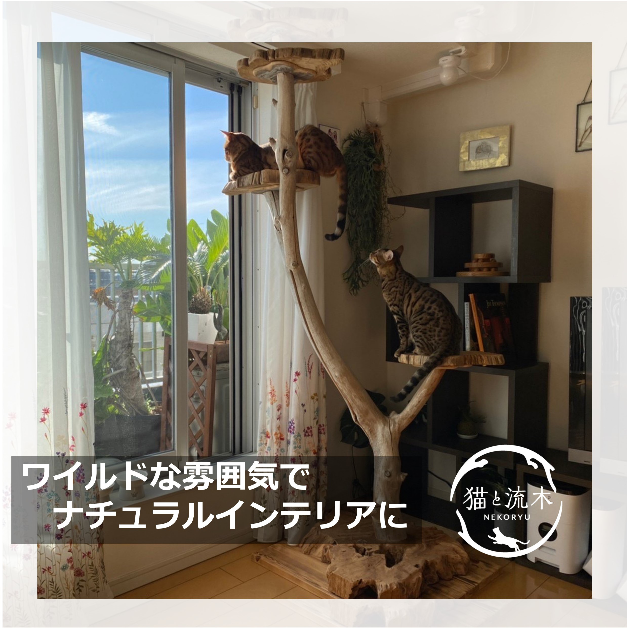 【猫と流木ねこりゅう】完全オーダーメイド　流木キャットタワー大型タイプ