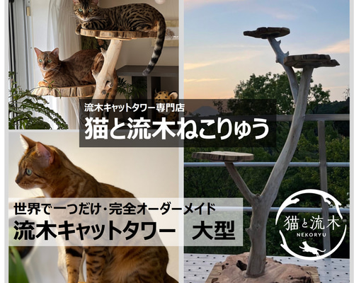 家ページ・流木キャットタワー 4e55586b00600469c6cdcc3d31623d