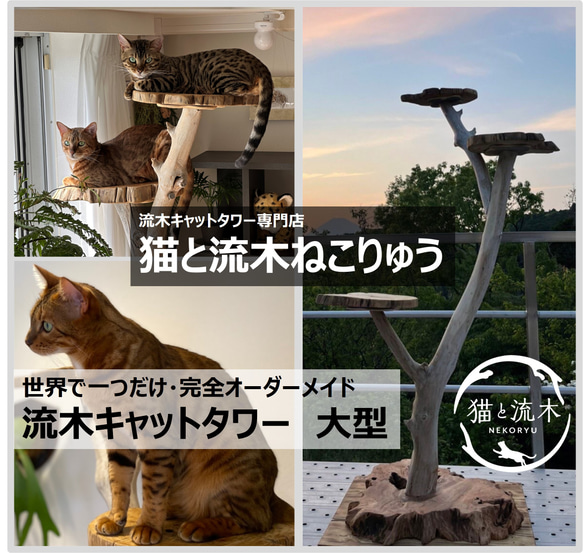 【猫と流木ねこりゅう】完全オーダーメイド　流木キャットタワー大型タイプ 1枚目の画像