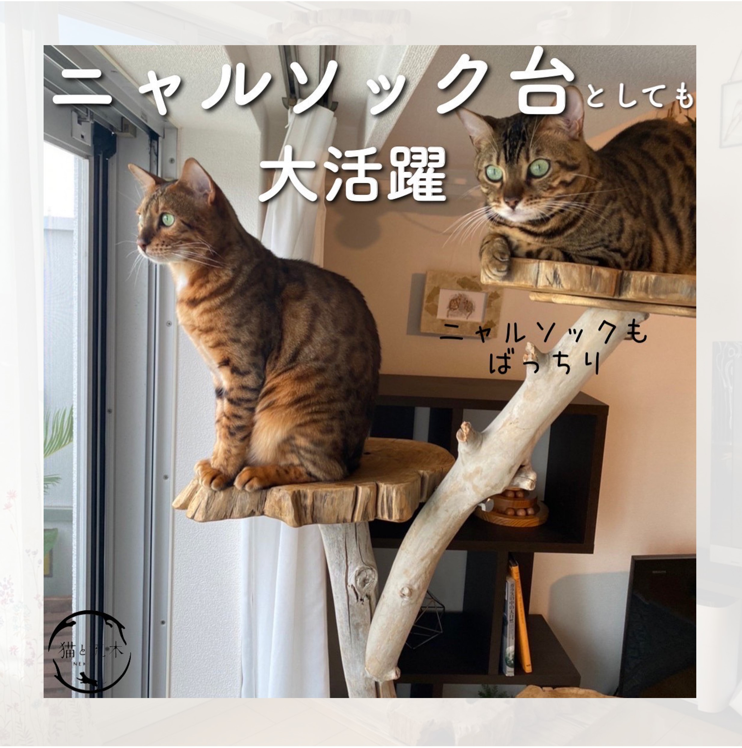 【猫と流木ねこりゅう】完全オーダーメイド　流木キャットタワー大型タイプ