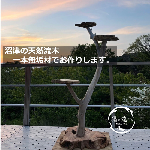 猫と流木ねこりゅう】完全オーダーメイド 流木キャットタワー大型 
