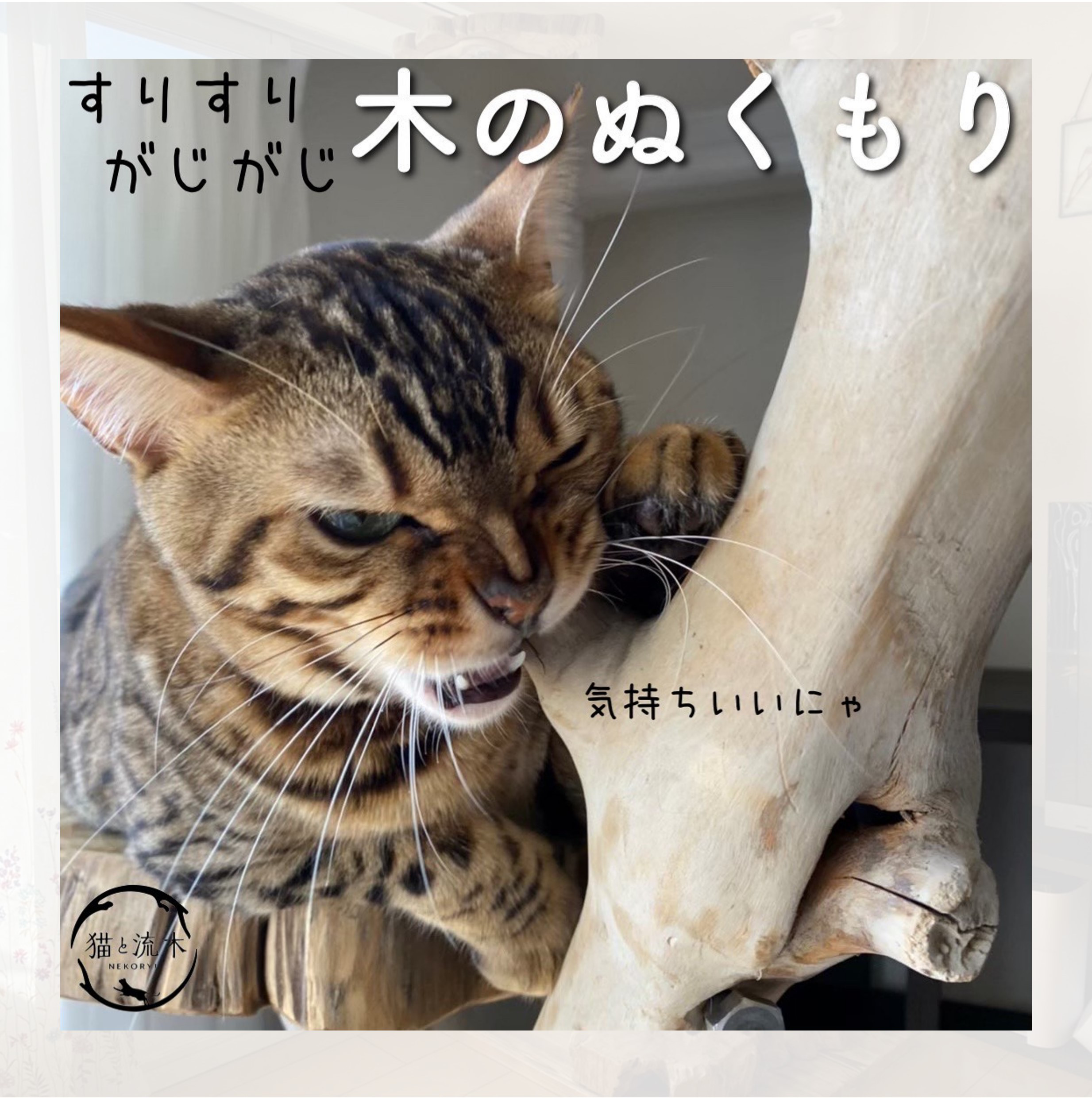 【猫と流木ねこりゅう】完全オーダーメイド　流木キャットタワー大型タイプ
