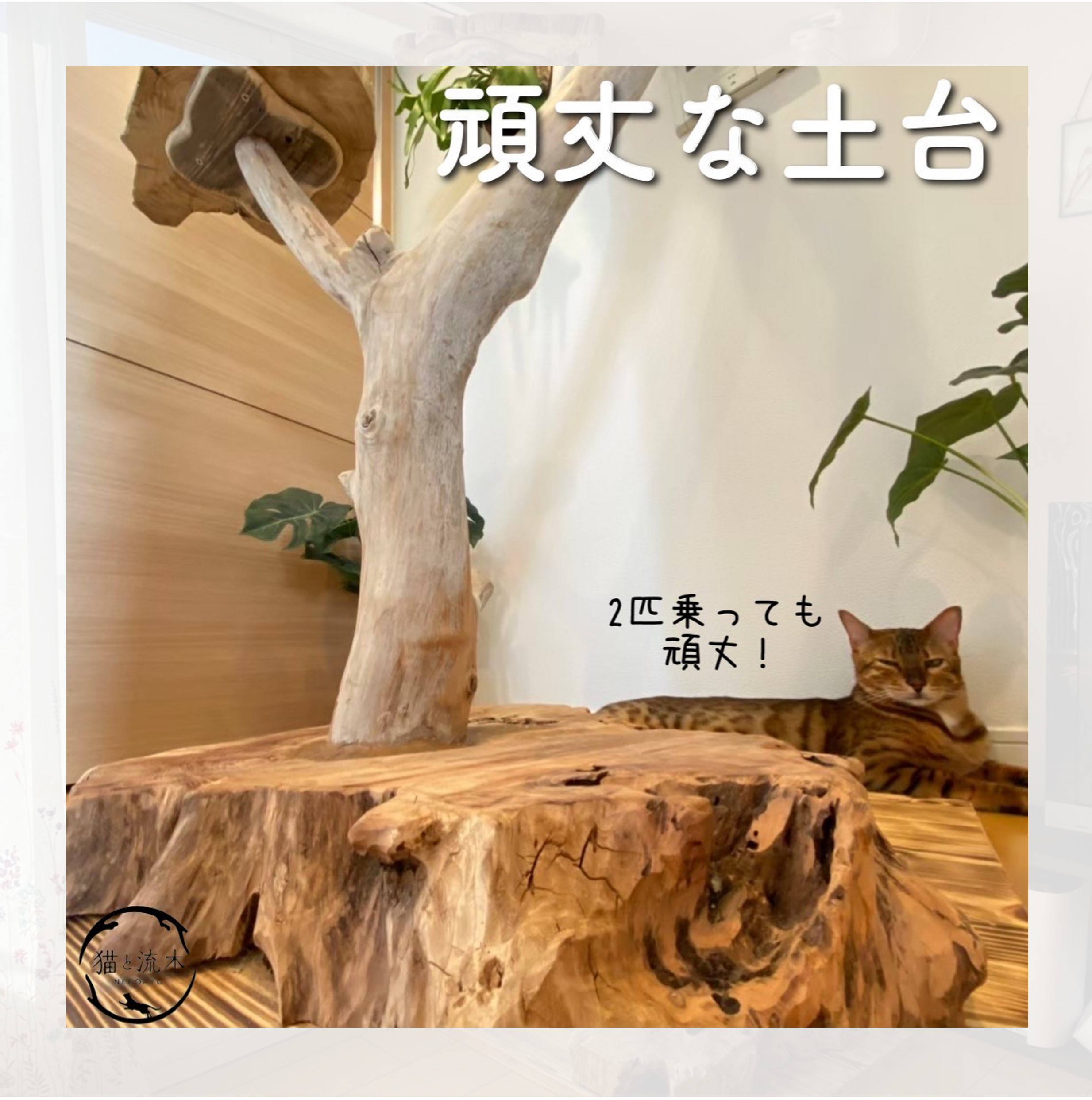 【猫と流木ねこりゅう】完全オーダーメイド　流木キャットタワー大型タイプ