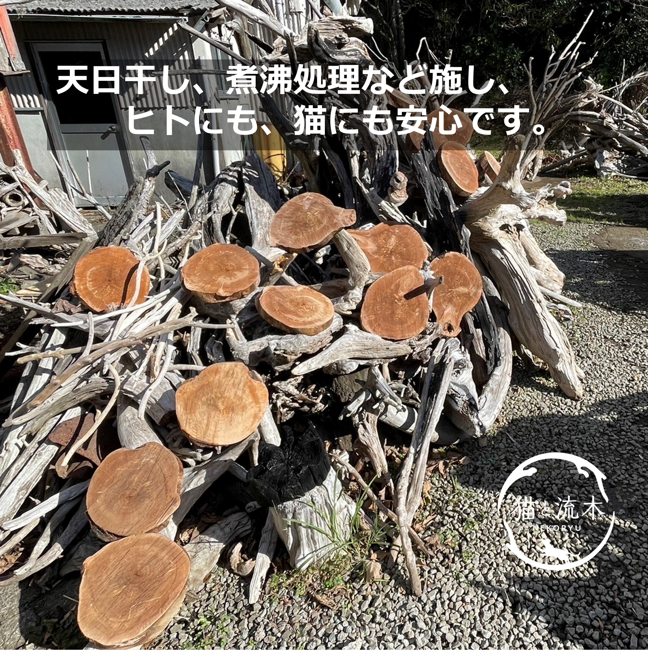 【猫と流木ねこりゅう】完全オーダーメイド　流木キャットタワー大型タイプ