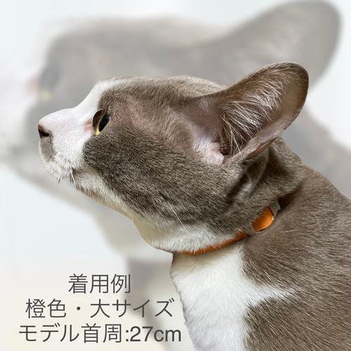 aya＊ 様 猫の首輪 楽天市場】【猫の首輪】MODERNO キャットカラー／パルマ【猫