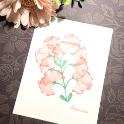 消しゴムはんこ　スイトピー 07fdfc5513ba9a1bc8f51c81cbd045