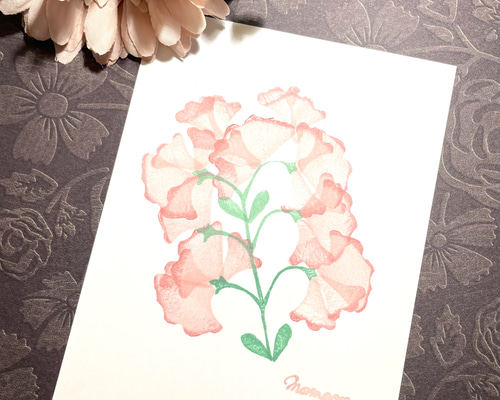 消しゴムはんこ　スイトピー スイートピーはんこ 1月の誕生花 はんこ・スタンプ ももあん 通販