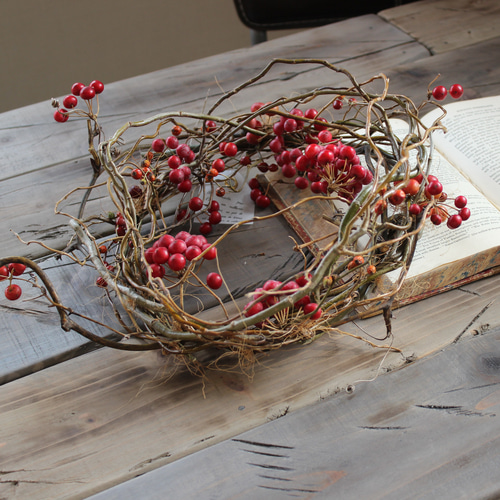 ベルギーナッツと赤い実と白い実を紡いだ　ふわふわなリース　ドライフラワー アナベルと赤い実のドライリース | fleuristekigi's STORE