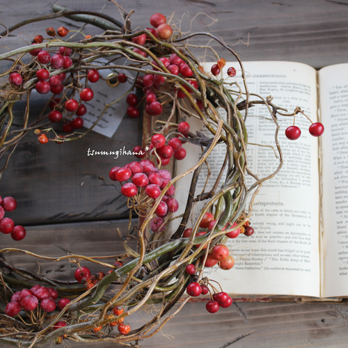 赤い実のリース№2 サンキライ 山帰来 ドライフラワーリース リース